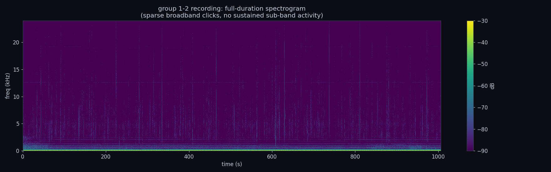 Full-duration spectrogram of the second recording